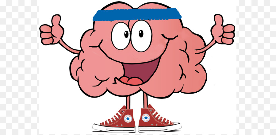 Brain Cartoon Royalty-free Clip art - Brain Exercise Cliparts png download - 643*437 - Free Transparent  png Download.
