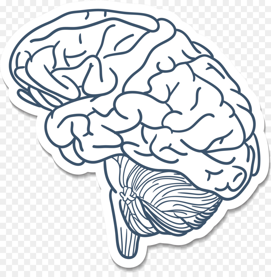 Blue Brain Project Cerebrum Drawing - Brain cartoon png download - 2343*2363 - Free Transparent  png Download.