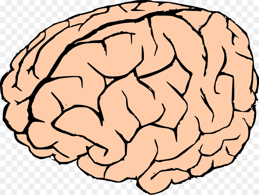Human brain Free content Clip art - Brain Cliparts png download - 900*680 - Free Transparent  png Download.