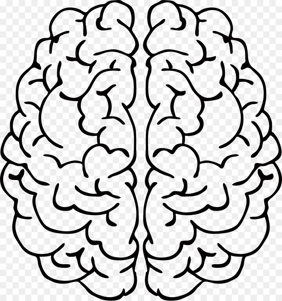 Brain Drawing Line art Abstract art Clip art - mind png download - 2178*2320 - Free Transparent  png Download.