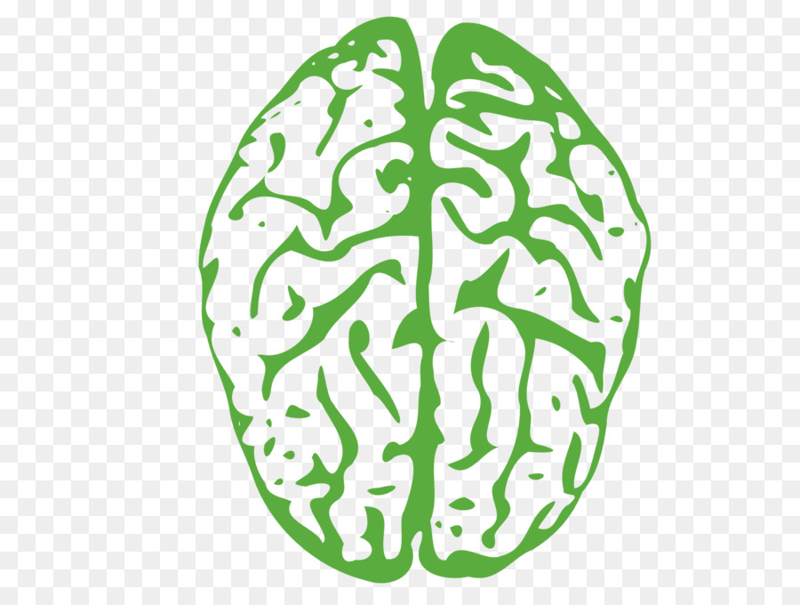Clip art Portable Network Graphics Transparency Brain Computer Icons - brain outline png transparent background png download - 1600*1200 - Free Transparent Brain png Download.