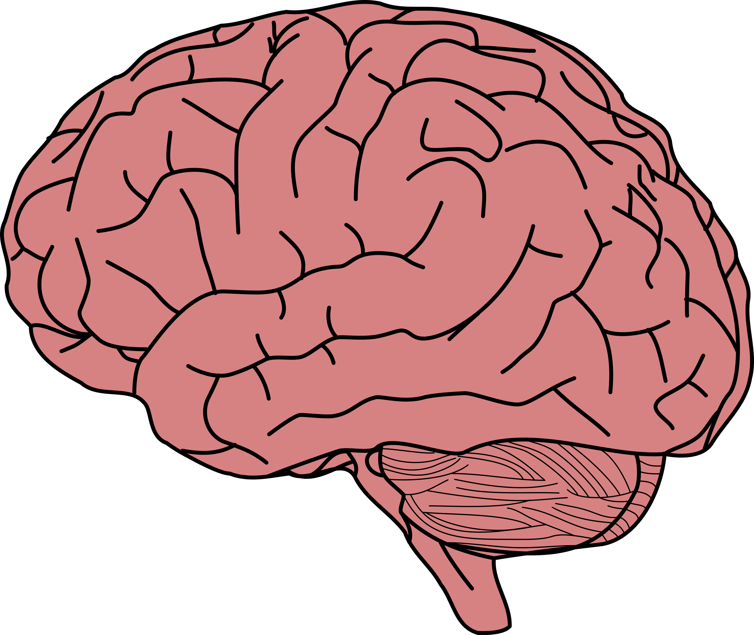 Human Brain Memory Clip Art Brain Png Download Free Transparent Png Download