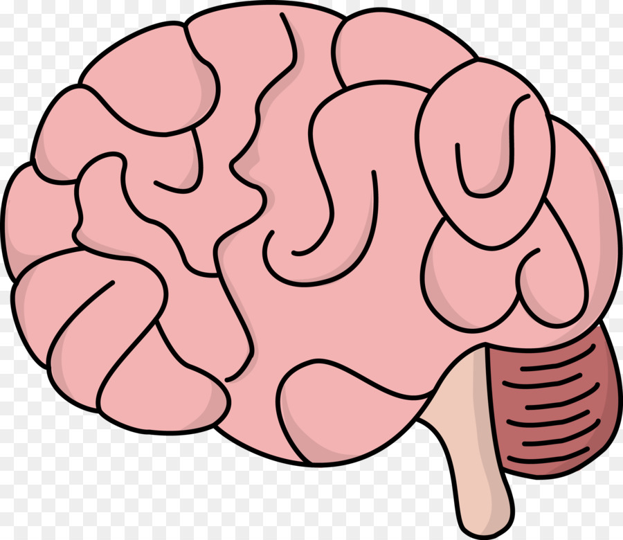 Human brain Free content Clip art - Brain Cliparts Transparent png download - 2174*1884 - Free Transparent  png Download.