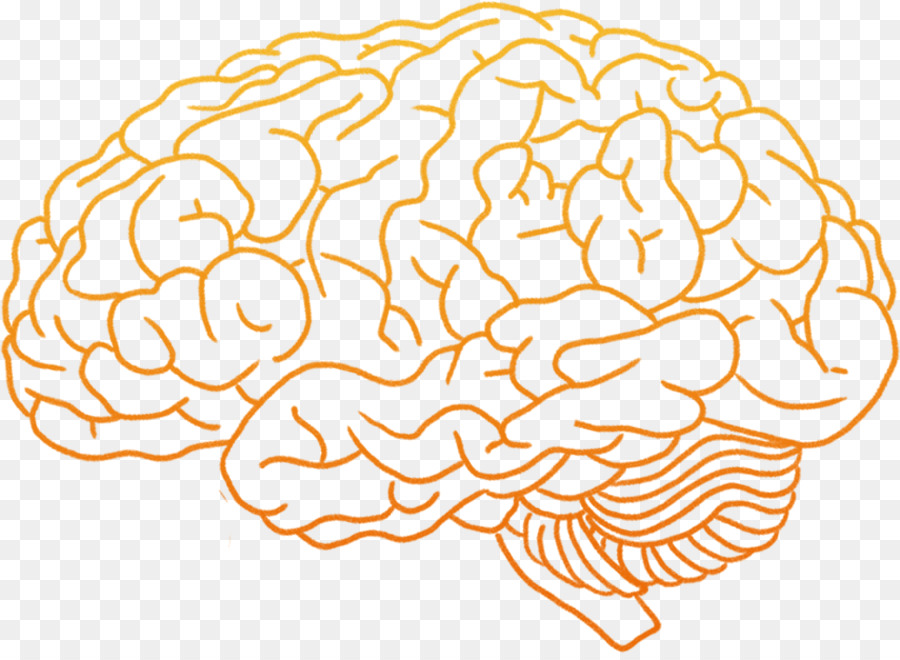 Human brain Clip art - Brain Gear png download - 967*702 - Free Transparent  png Download.
