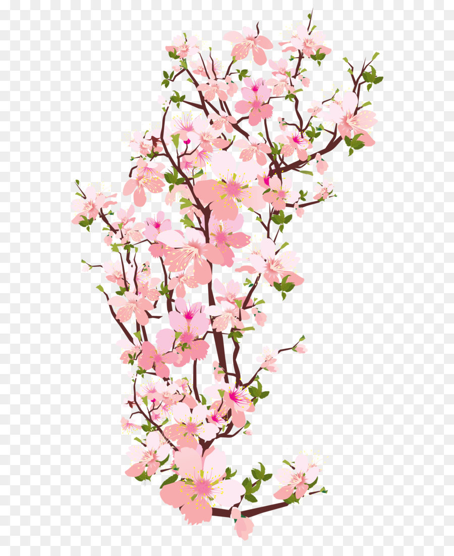 Branch Tree Clip art - Spring Tree Branch Transparent PNG Clip Art Image png download - 4338*7223 - Free Transparent Branch png Download.