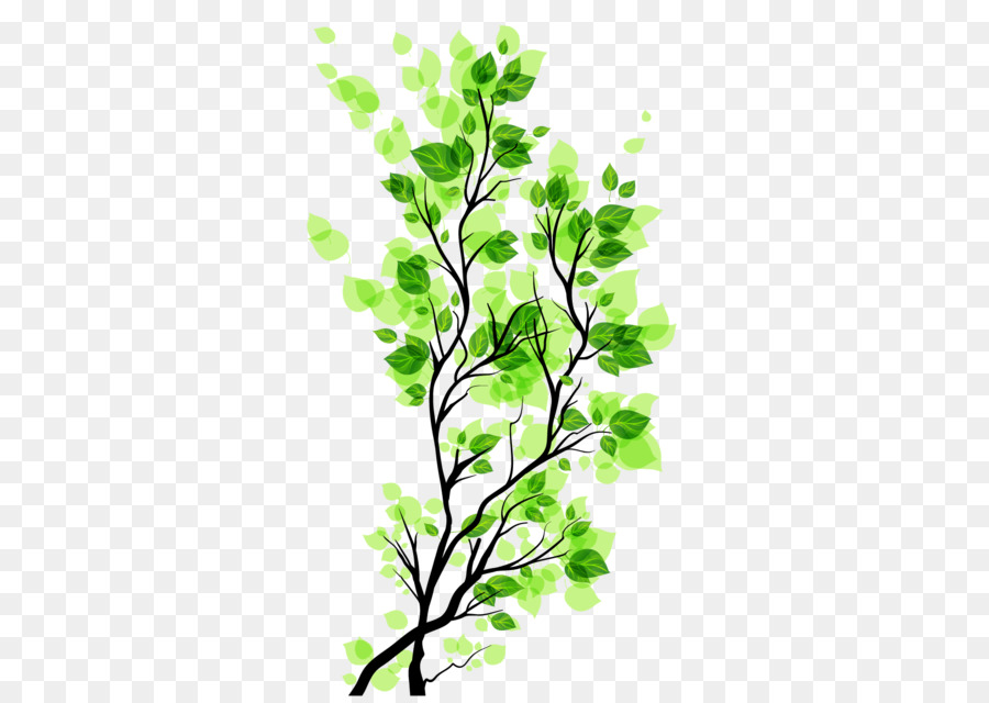 Branch Leaf - Green leaves branch image Free to pull the material png download - 1754*1240 - Free Transparent Branch png Download.