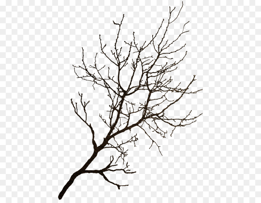 Branch Tree Winter Clip art - tree png download - 539*700 - Free Transparent Branch png Download.