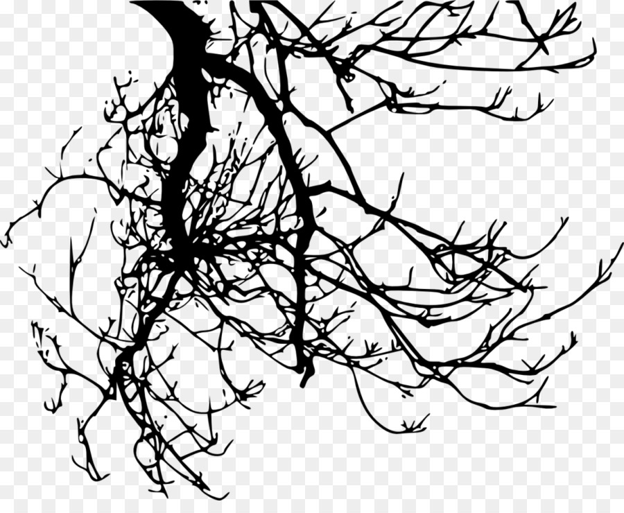 Twig Branch Tree - tree png download - 1024*821 - Free Transparent Twig png Download.