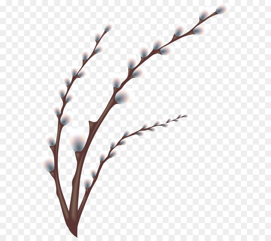 Easter egg tree Egg hunt Easter customs - Easter Willow Tree Branch Transparent PNG Clip Art Image png download - 4940*6000 - Free Transparent Weeping Willow png Download.