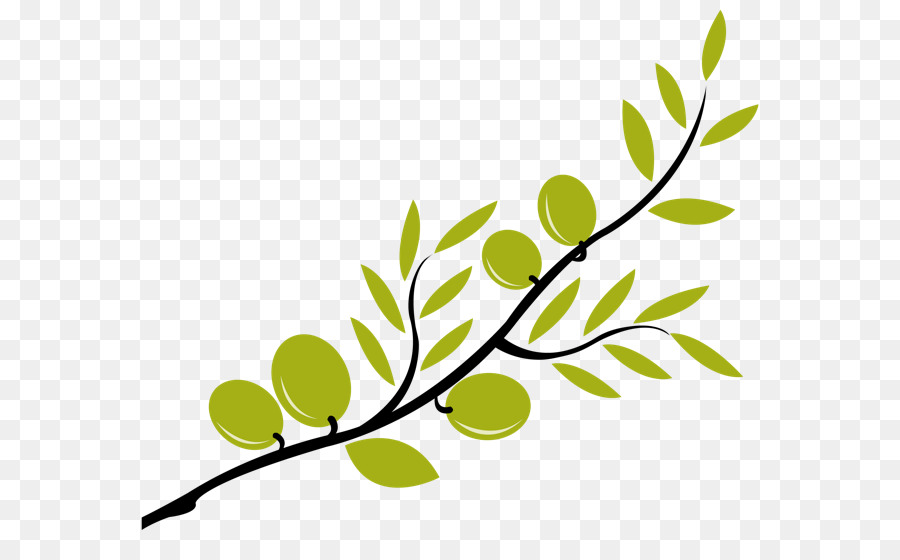 Olive branch Mediterranean cuisine Clip art - Transparent Branch Cliparts png download - 639*548 - Free Transparent Olive Branch png Download.