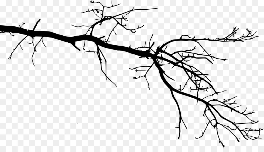 Branch Tree Drawing Twig Leaf - branch png download - 2000*1134 - Free Transparent  png Download.