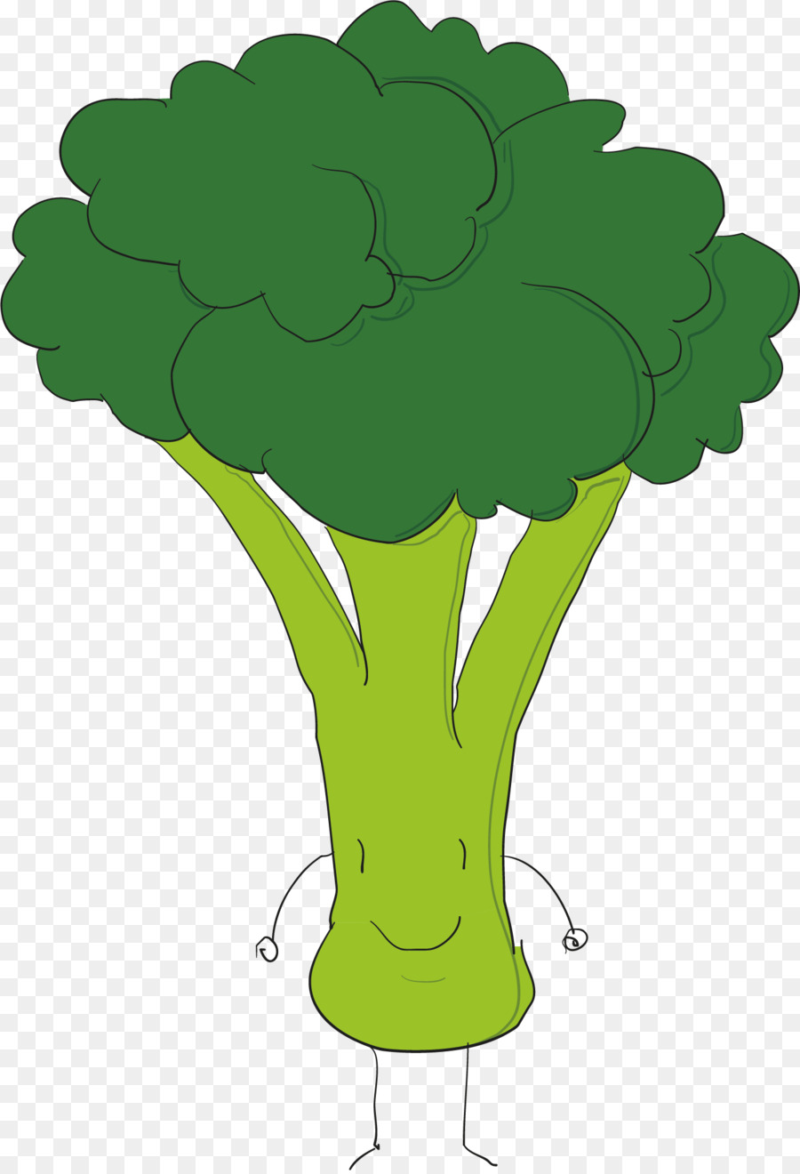 Broccoli Euclidean vector - Broccoli vector png download - 1426*2085 - Free Transparent Broccoli png Download.
