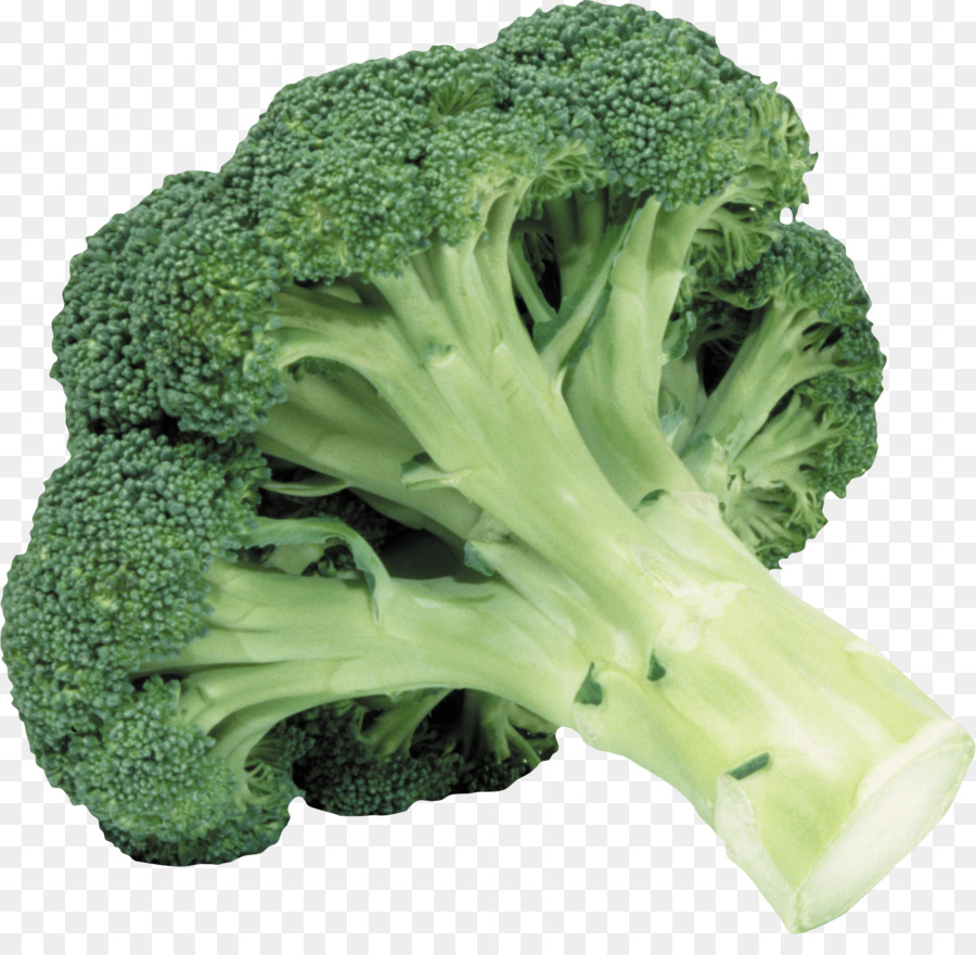 Broccoli slaw Vegetable Clip art - broccoli png download - 1541*1474 - Free Transparent Broccoli Slaw png Download.