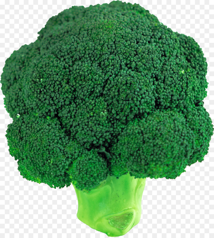 Broccoli Leaf vegetable Clip art - broccoli png download - 1626*1800 - Free Transparent Broccoli png Download.