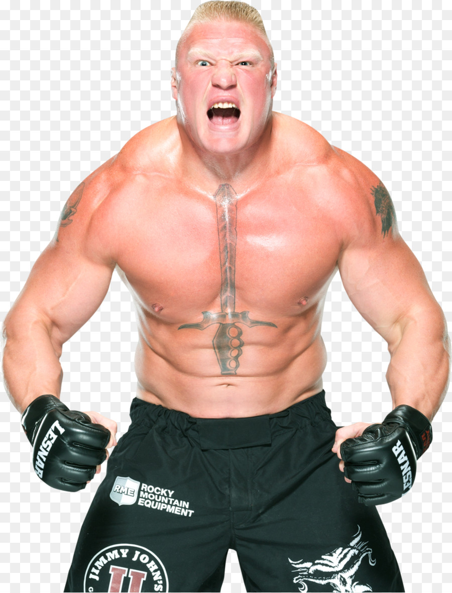 Brock Lesnar Professional wrestling - Brock Lesnar Transparent Background png download - 1024*1341 - Free Transparent  png Download.