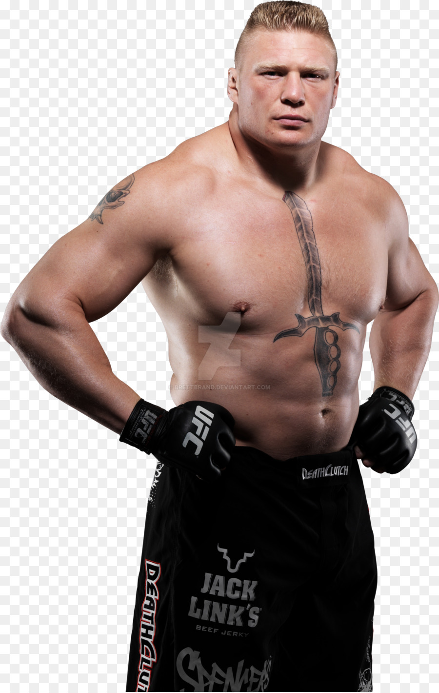 Brock Lesnar UFC 116 Mixed martial arts World Heavyweight Championship Best Fighter ESPY Award - Brock Lesnar PNG Transparent Image png download - 1600*2520 - Free Transparent  png Download.