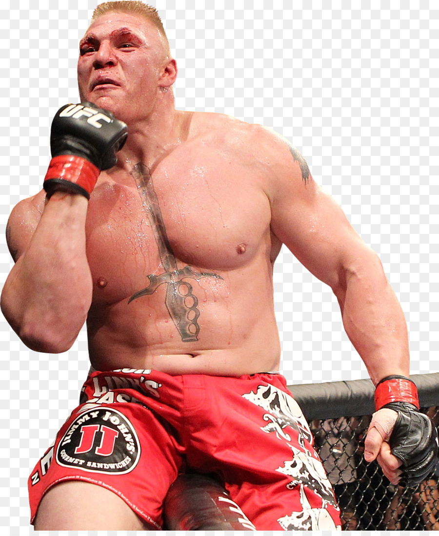 Brock Lesnar UFC 200: Tate vs. Nunes Mixed martial arts Heavyweight Boxing - brock lesnar png download - 1065*1289 - Free Transparent  png Download.