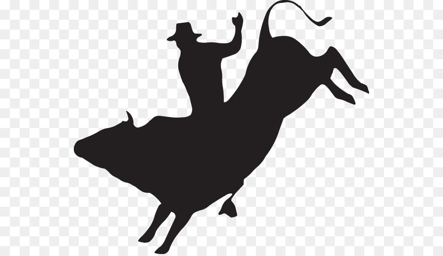 Bull riding Decal Rodeo Sticker - bull png download - 600*516 - Free Transparent Bull Riding png Download.