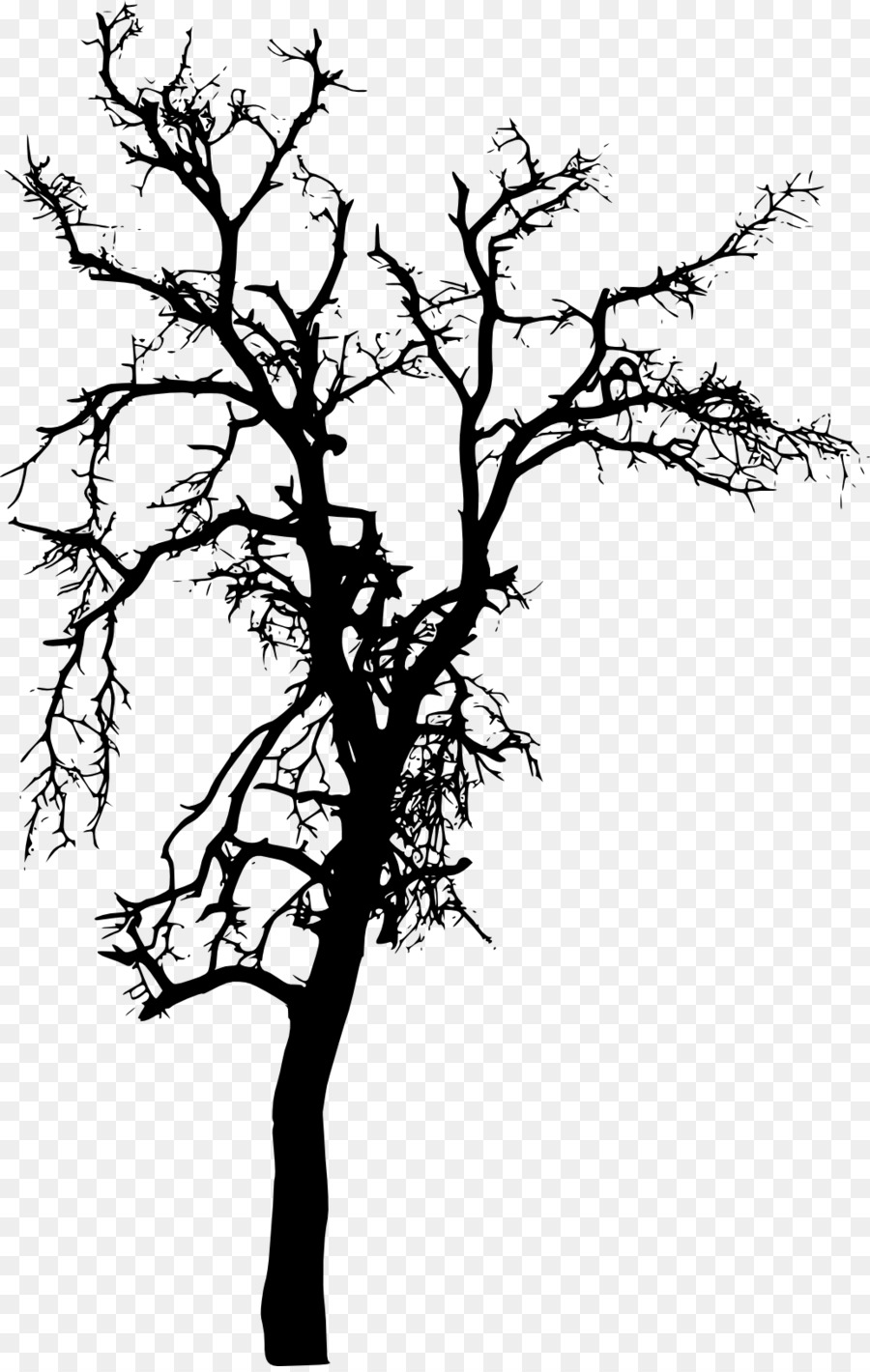 Tree Plant Branch Silhouette - tree silhouette png download - 1033*1623 - Free Transparent Tree png Download.
