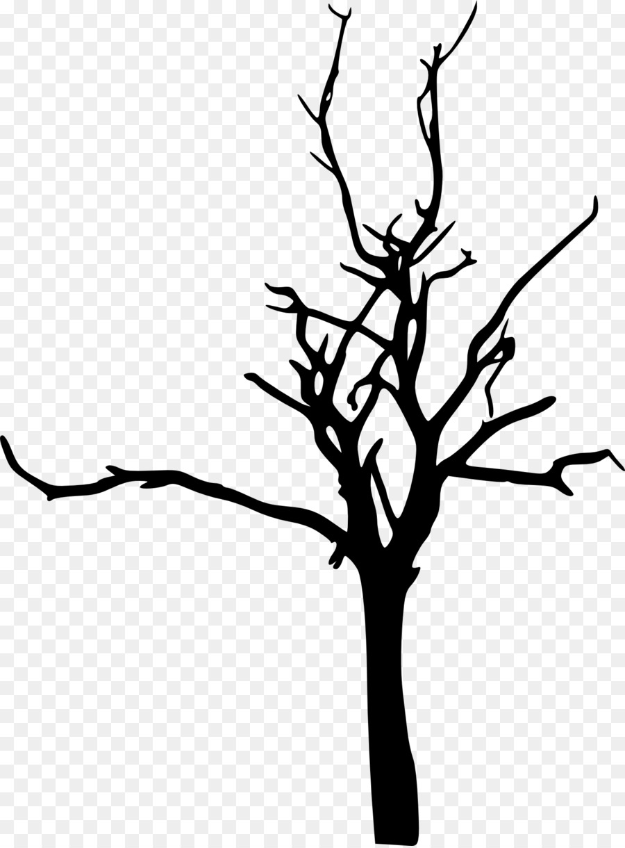 Tree Branch Silhouette Drawing - tree silhouette png download - 1479*2000 - Free Transparent Tree png Download.
