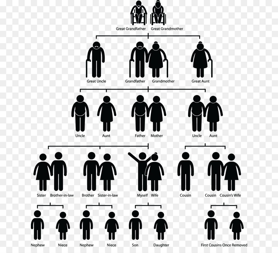 Family tree Symbol Sign - Family png download - 700*801 - Free Transparent Family Tree png Download.