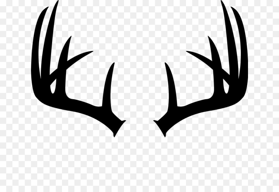 White-tailed deer Antler Moose Elk - deer png download - 700*614 - Free Transparent Deer png Download.