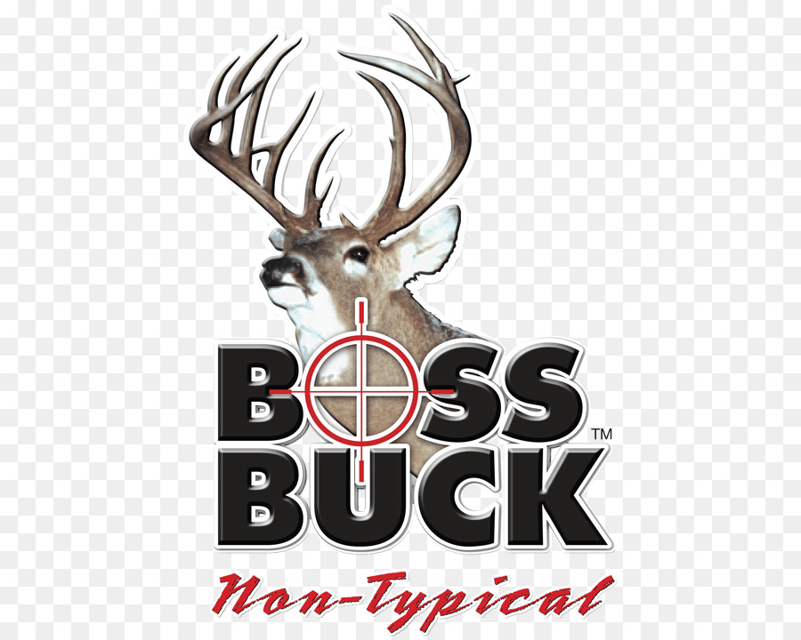 White-tailed deer Boss Buck Deer hunting - triple h png download - 720*720 - Free Transparent Deer png Download.