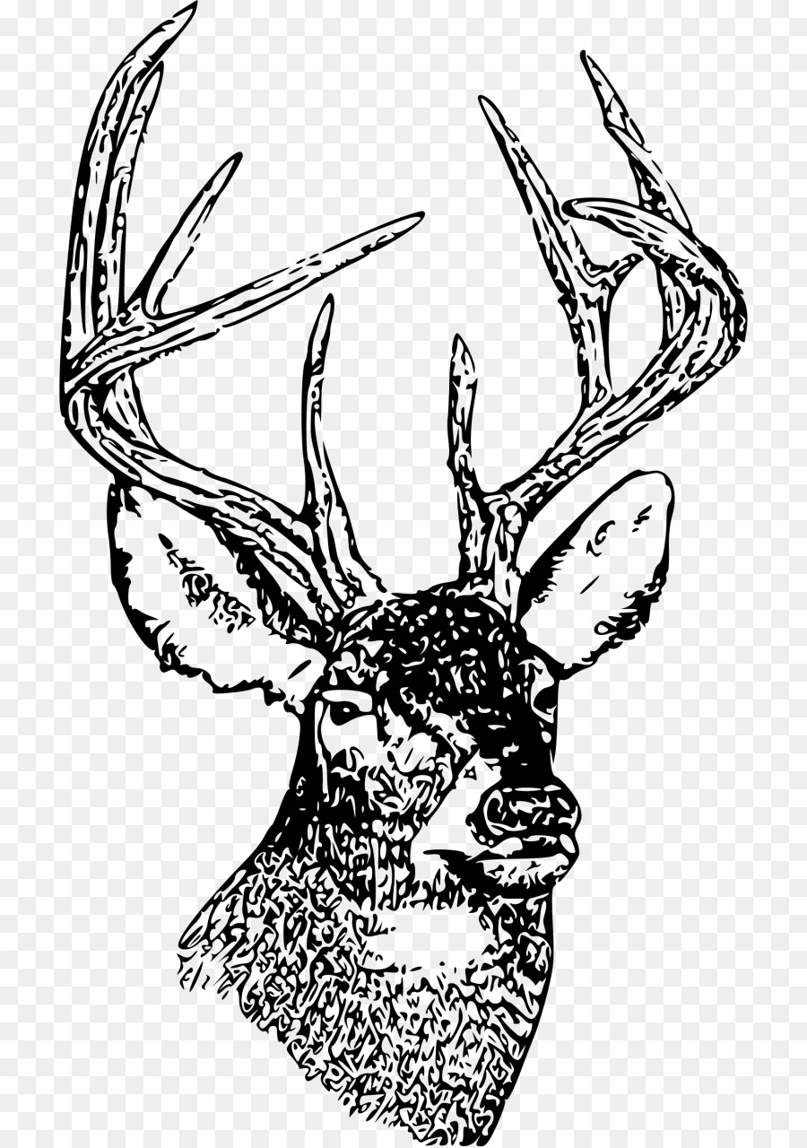 White-tailed deer Drawing Clip art - deer png download - 768*1278 - Free Transparent Whitetailed Deer png Download.