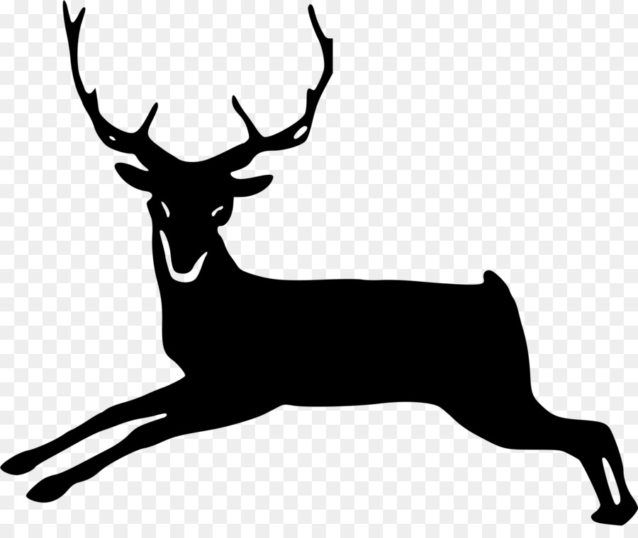 White-tailed deer Elk Moose Clip art - animal silhouettes png deer png download - 2400*2002 - Free Transparent Whitetailed Deer png Download.
