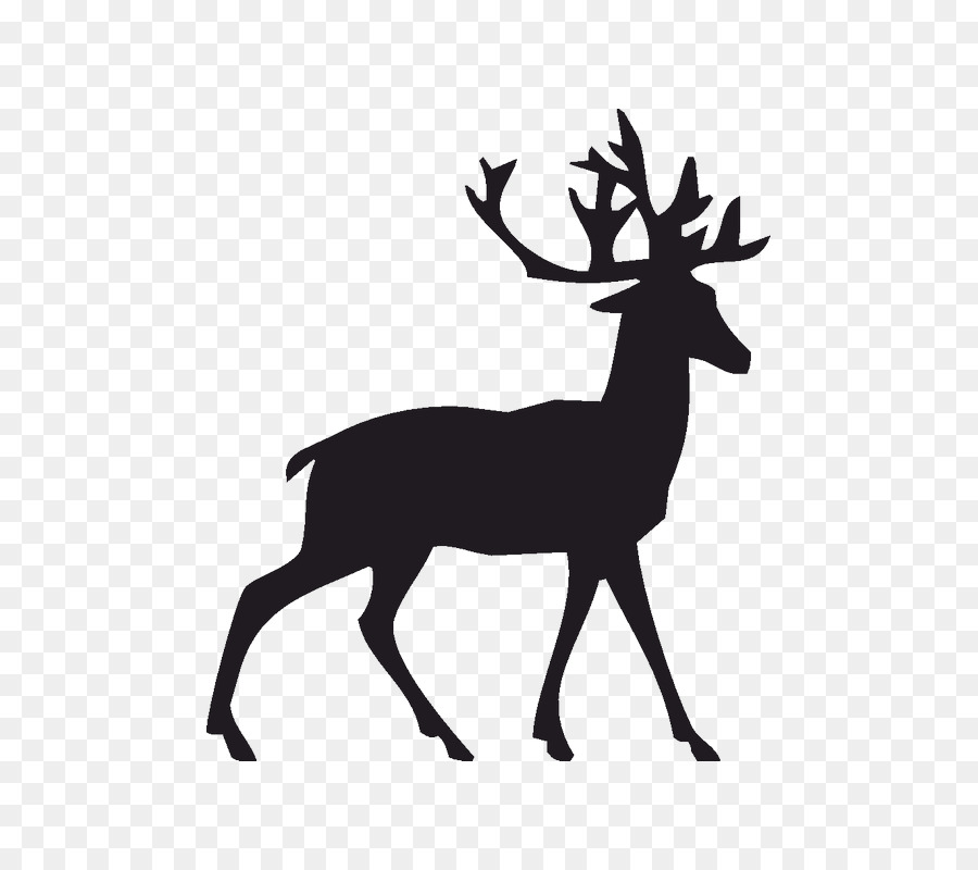 Reindeer Clip art Rudolph White-tailed deer - deer png download - 800*800 - Free Transparent Deer png Download.