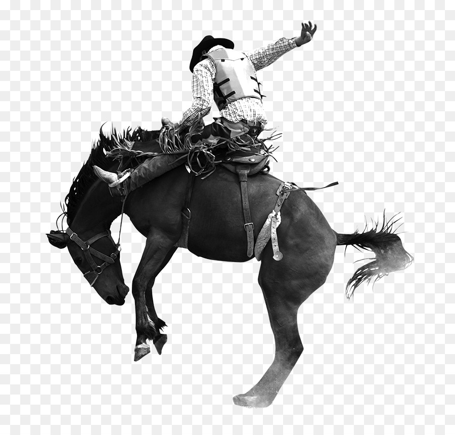 Miles City Bucking Horse Sale Bronco Equestrian - horse png download - 800*842 - Free Transparent Horse png Download.