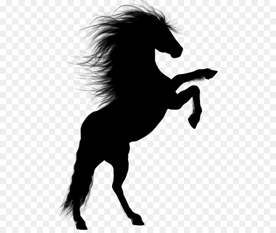 Rearing Stallion Arabian horse Colt Unicorn - how to draw a horse png bucking png download - 520*750 - Free Transparent Rearing png Download.
