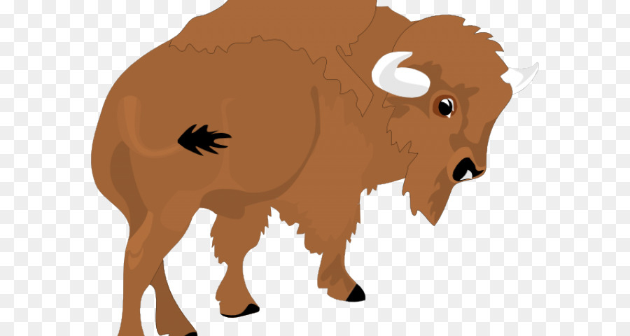 American bison Water buffalo Clip art Cattle Free content - bidon png download - 640*480 - Free Transparent American Bison png Download.