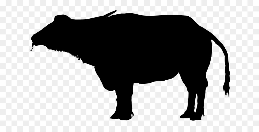 Water buffalo Bison Silhouette Clip art - bison png download - 728*456 - Free Transparent Water Buffalo png Download.