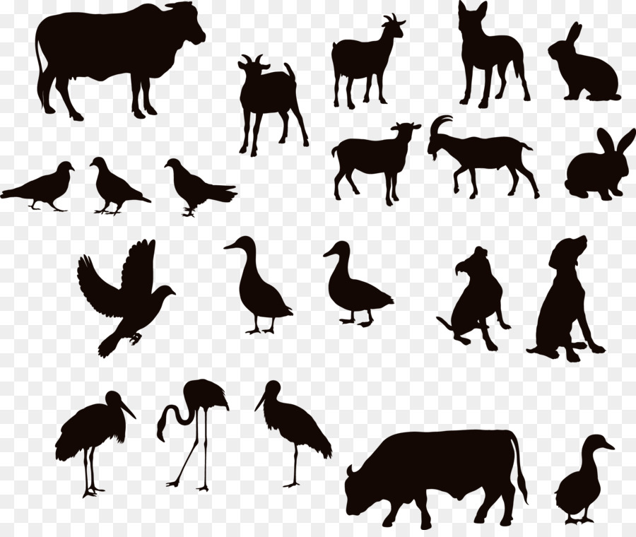 Cattle Water buffalo Silhouette Duck - Buffalo Silhouette png download - 2244*1871 - Free Transparent Cattle png Download.