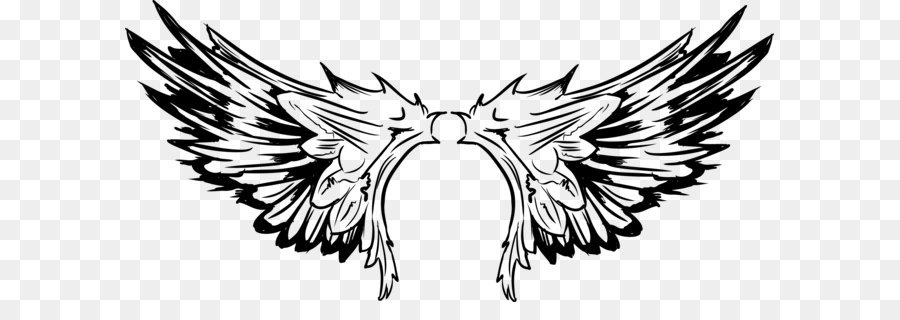 Vector tattoo bird wings of the pro png download - 2456*1142 - Free Transparent Bird ai,png Download.