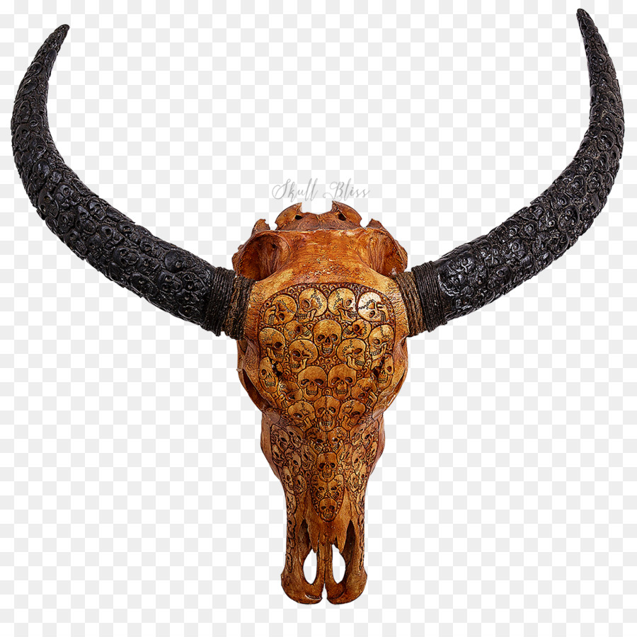 Cattle Horn Water buffalo Skull Skeleton - skull png download - 1000*1000 - Free Transparent Cattle png Download.