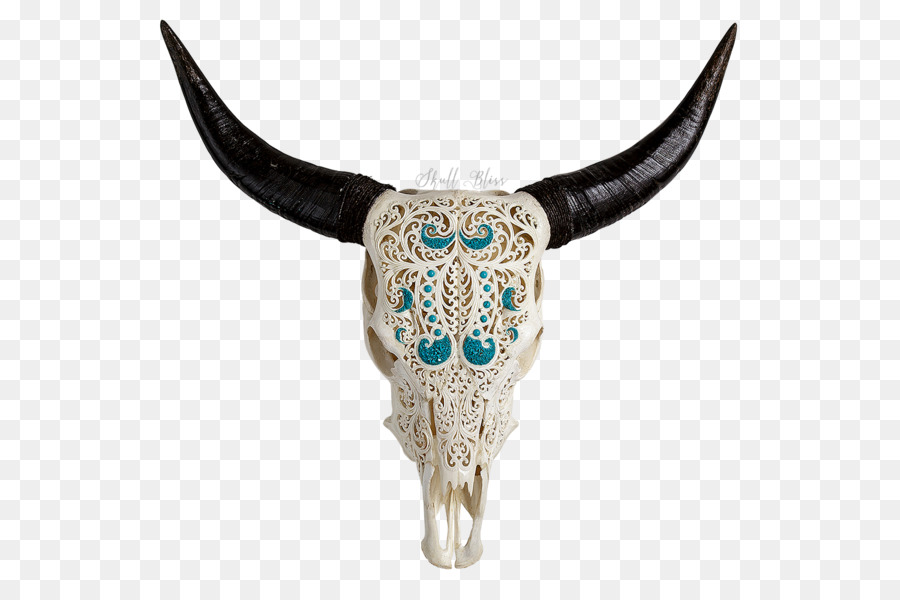Skull XL Horns Cattle Water buffalo - skull png download - 600*600 - Free Transparent Skull png Download.