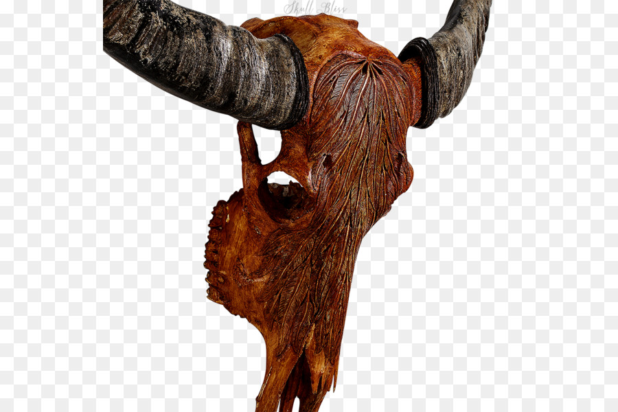 Animal Skulls Cattle Horn - buffalo skull png download - 600*600 - Free Transparent Animal Skulls png Download.