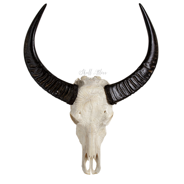 transparent buffalo skull png
