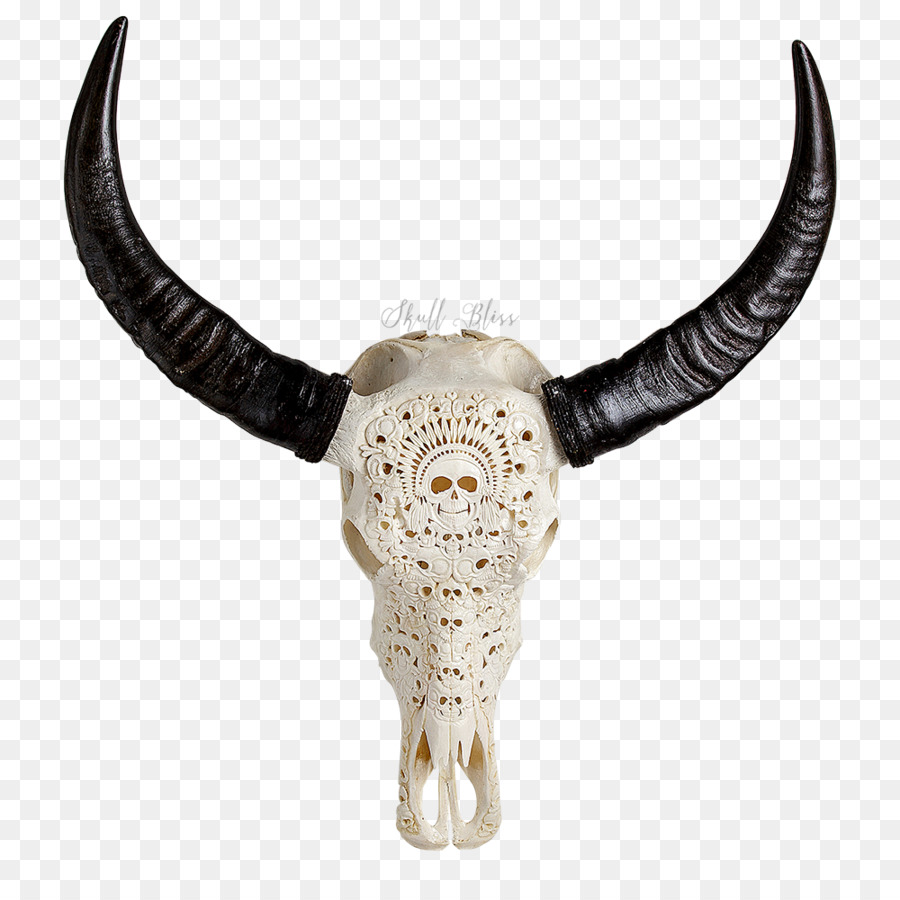 Animal Skulls Cattle Horn Bone - buffalo skull png download - 1000*1000 - Free Transparent Animal Skulls png Download.