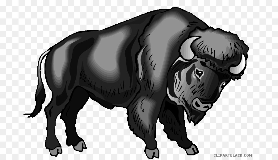 Water buffalo Clip art Portable Network Graphics Image - buffalo head black and white png download - 750*518 - Free Transparent Water Buffalo png Download.