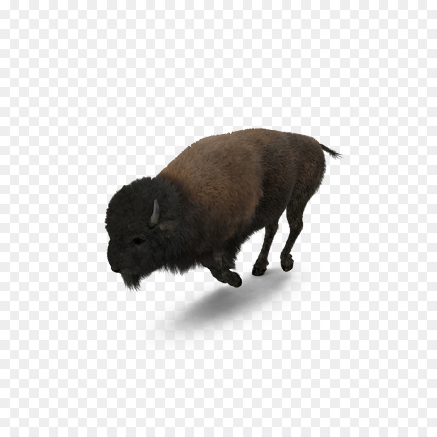 Buffalo American bison - Running bison png download - 1000*1000 - Free Transparent Buffalo png Download.