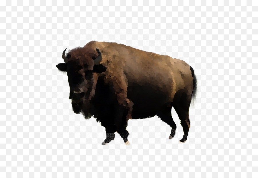 Bison Water buffalo PDF Cattle - bison png download - 757*608 - Free Transparent Bison png Download.