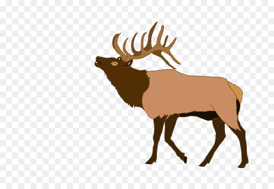 Elk Deer Clip art - Cl Cliparts png download - 1787*1200 - Free Transparent Elk png Download.