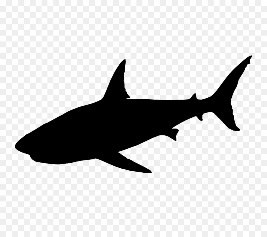 Requiem sharks Clip art Fauna Silhouette -  png download - 800*800 - Free Transparent Requiem Sharks png Download.