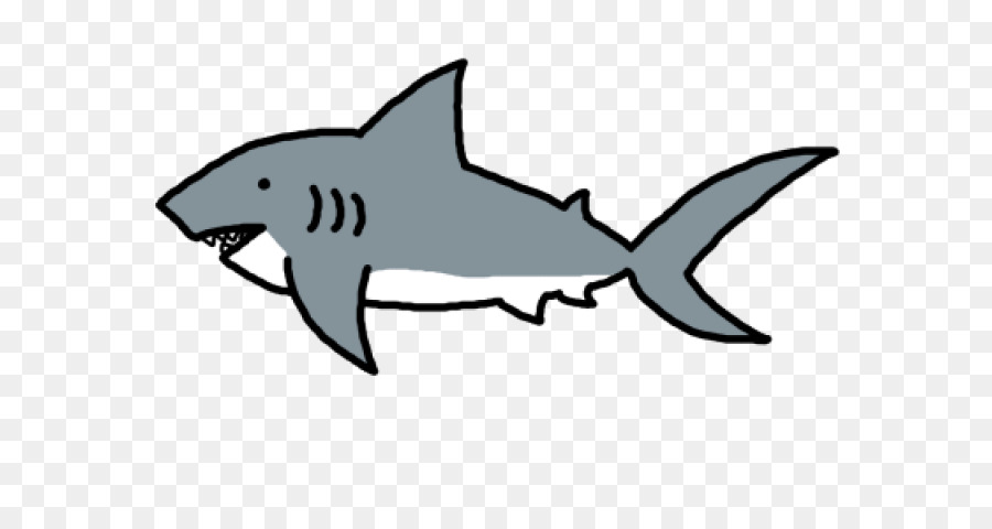 Clip art Great white shark Vector graphics Portable Network Graphics Shortfin mako shark - australian barracuda png download - 640*480 - Free Transparent Great White Shark png Download.