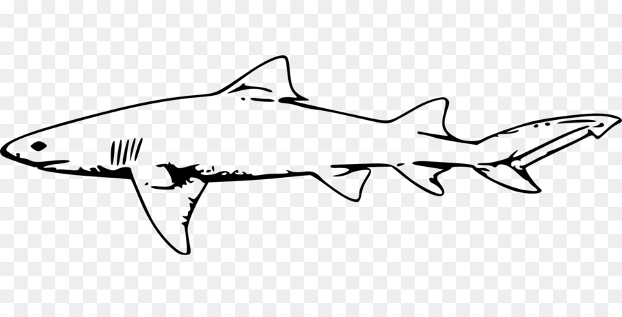 Great white shark Bull shark Clip art - big white shark png download - 1920*960 - Free Transparent Shark png Download.