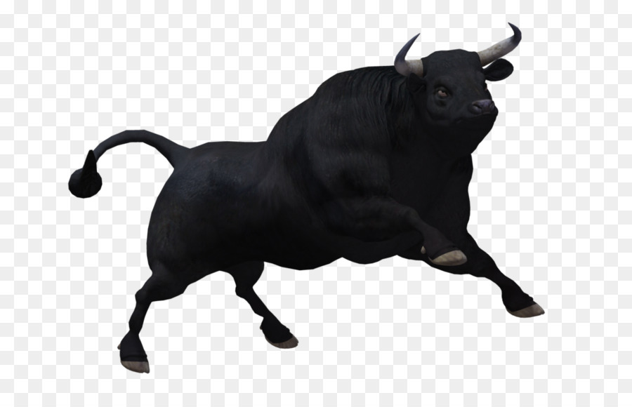 Bull Clip art - Bull PNG Clipart png download - 1024*645 - Free Transparent Ox png Download.