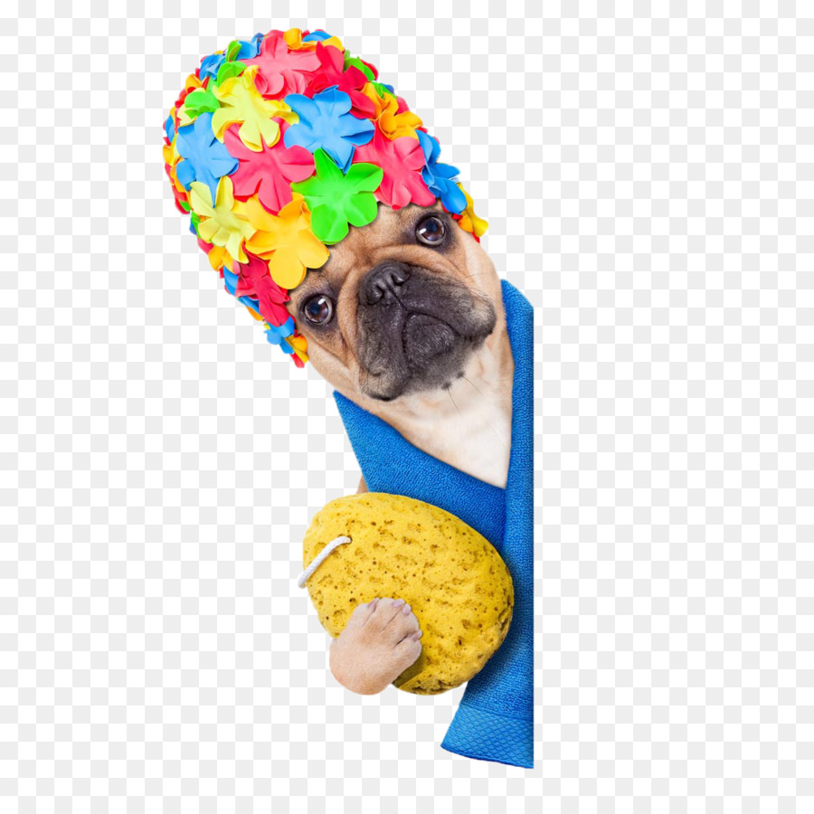 French Bulldog Puppy Shower Stock photography - Dog shower cap png download - 1000*1000 - Free Transparent French Bulldog png Download.